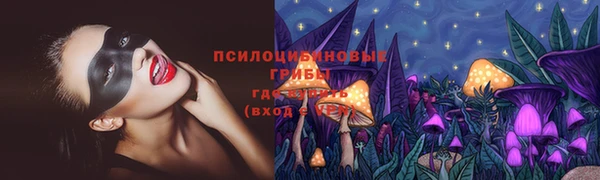 гидра Абдулино