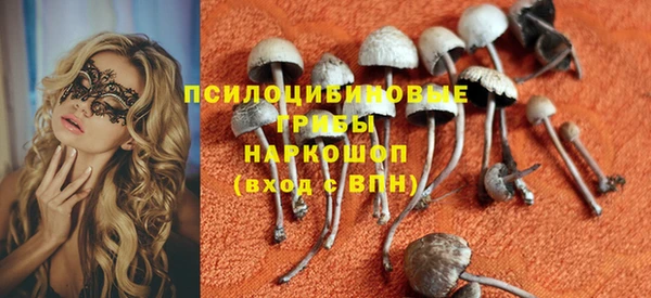spice Абаза