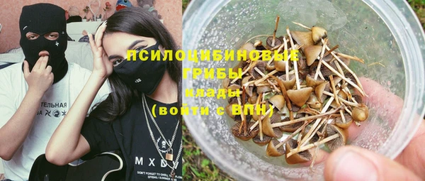spice Абаза